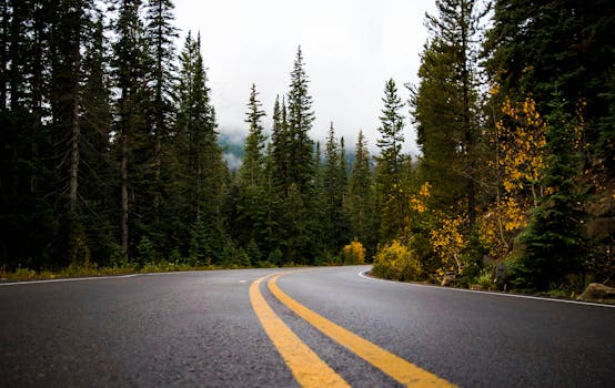 Empty winding road through a scenic forest with fall foliage, perfect for travel inspiration.