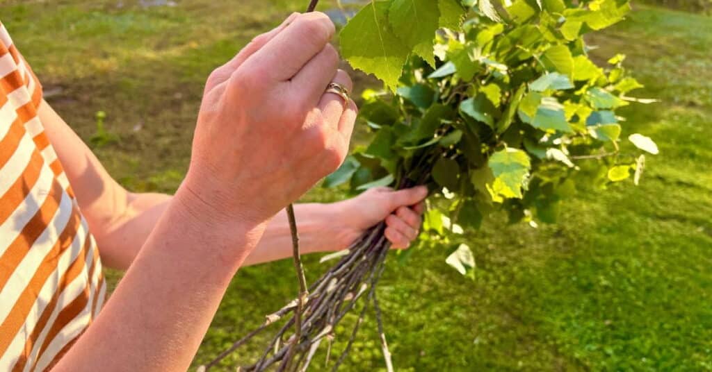 Vihta kootaan kuin kukkakimppu.