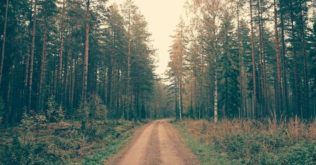 Yksityistien ylläpito maksaa