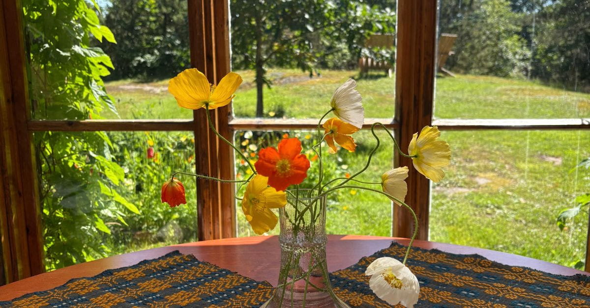 Kesämökki vakituisena asuntona