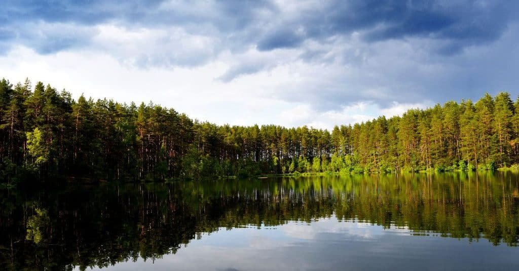Ilmansuunnat, puusto ja maaston muodot vaikuttavat siihen, miten aurinko tontille osuu, mistä löytyy suojaa ja millaisiksi näkymät muodostuvat.