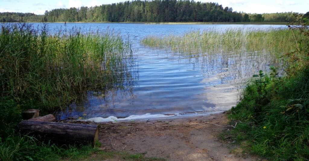 Unelmien rantatontti, mitä se maksaa?