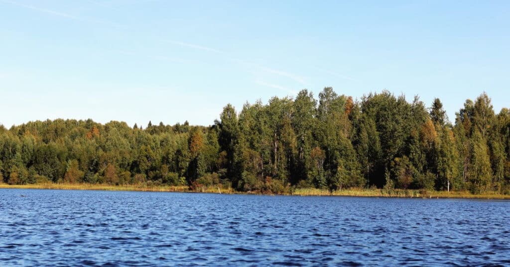 Mökkitonttien hinnoissa Suomi on kaikkea muuta kuin tasainen. Suositulla mökkipaikkakunnalla tai kasvukeskuksen kupeessa rantatontista saa maksaa aivan eri summia kuin syrjemmässä sijaitsevasta rakennuspaikasta.