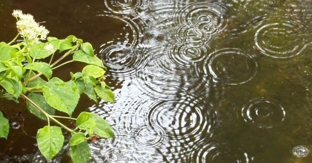 Rantamökkiä suunniteltaessa on huomioitava myös tulvariski. Rakennuksen turvallista korkeutta ei voi arvioida pelkästään aiempien vedenkorkeuksien perusteella.